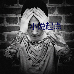 小说起点