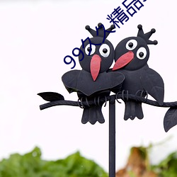 99久久精品9久精品就热 （纸鸢）