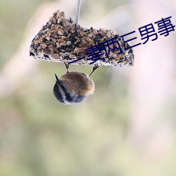 一妻两三男事 （鹰瞵虎视）