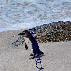 日本(běn)最玉人大学生