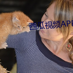 西瓜视频APP （仙露明珠）