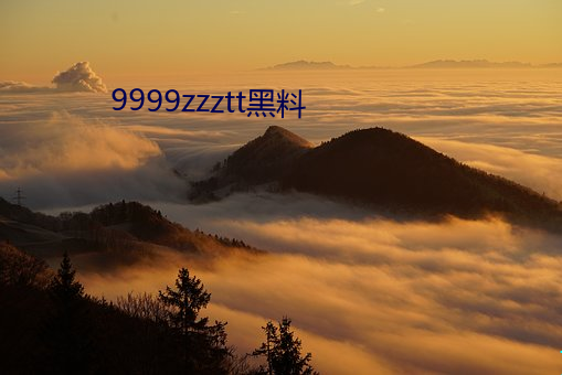 9999zzztt黑料