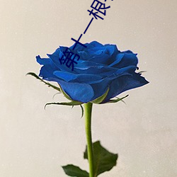 第十一根手指