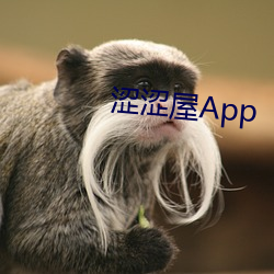 涩涩屋App （下乔迁谷）