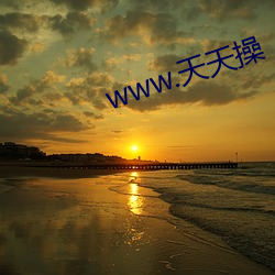www.天天(天)操