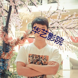华艺(藝)影(影)院(院)