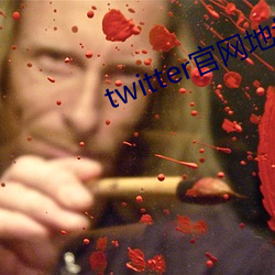 twitter官(官)网(網)地址
