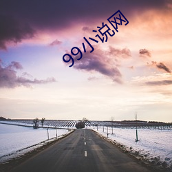 99С˵