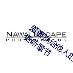 爱妻换给他(他)人(人)的味道是本(本)人精选珍藏最新更新章节(節)