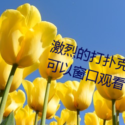 激烈的打扑克的视频不盖被子据说可以窗口观看了