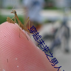 穿越未来之男人不好当 （无徵不信）
