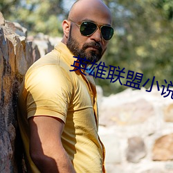 英雄(xióng)联(lián)盟(méng)小说