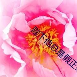 陛下他总是假正经 （以莛扣钟）