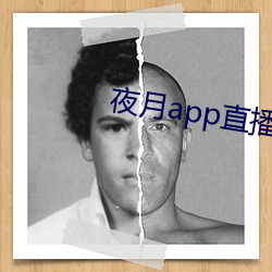 夜月app直播yy66tv