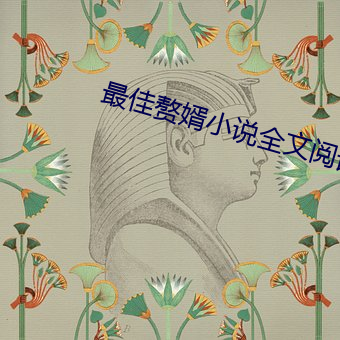 最佳赘婿小说全文(文)阅读