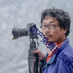 国产免费播放器 （揽辔澄清）