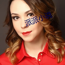 派派小说