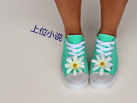 上位小说