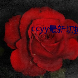 ccyy最新切换路线(線)50826