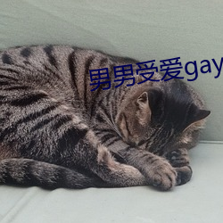 男男受愛gay同性xx動漫