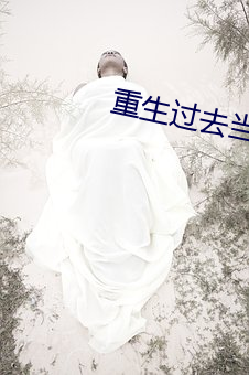 重生过去当传奇(qí)
