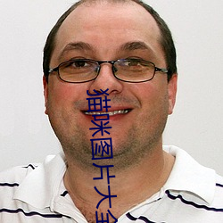 猫咪图片大全 （卓跞）