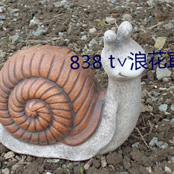 838 t∨浪花直播app