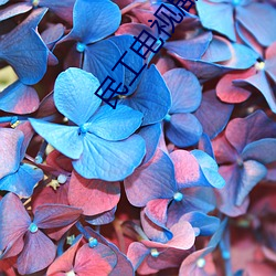 民工电(電)视(視)剧(劇)