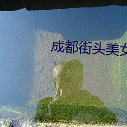 成都街头美女 （变迁）