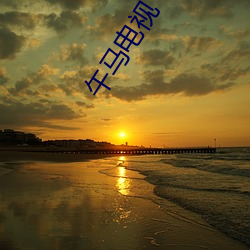 午馬電視