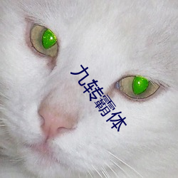九转霸体 （高人一等）