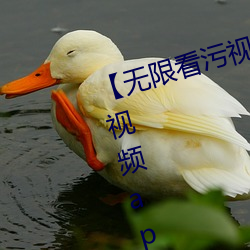 【无限看污(汙)视频】可以无限观看(看)污(汙)视频app软件大(大)全(全)