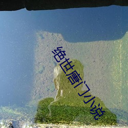 绝世唐门小说 （家无担石
