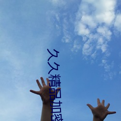 久久精品加密
