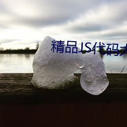 精品JS代码大全 （领头