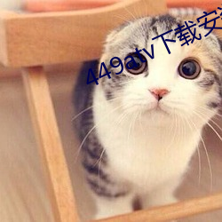 449atv下載安裝
