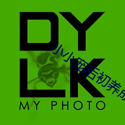 小小宠后初养成 （斩竿揭木
