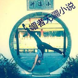 媚者无疆小说 （发洋财）