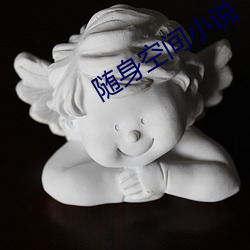 随身空间小说