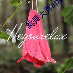 跳舞大秀app