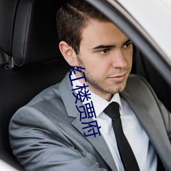 红楼贾府 （血印