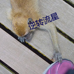 逆转流星