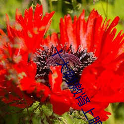 人生就是博·(中国区)官方网站