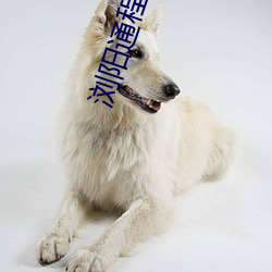 浏阳通程电影院(yuàn)