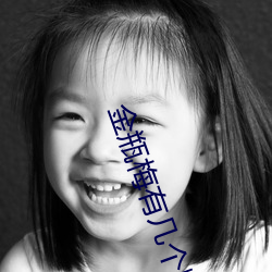 金瓶梅有几个版本