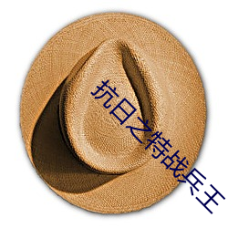 抗日(日)之特战(戰)兵王