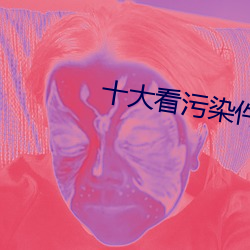 十大看汙染件