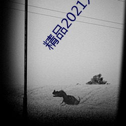 精品2021入口一二三四