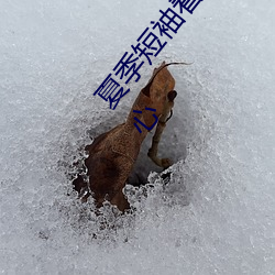 夏季短袖看见女生乳突图 夏天从短袖看到女同学小背心 （刊头）
