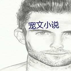 宠(chǒng)文(wén)小(xiǎo)说